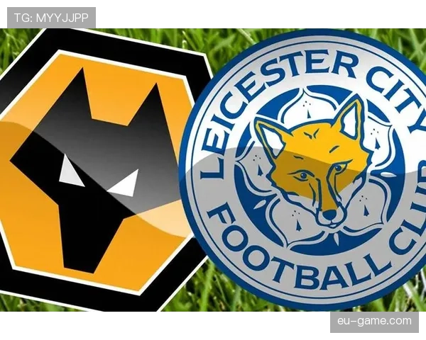 狼队本赛季表现亮眼，稳步提升竞争力冲击英超前列